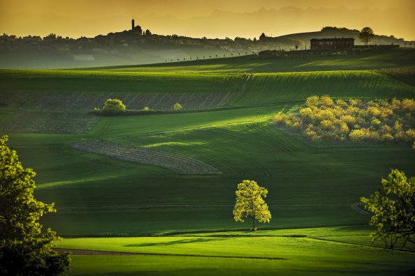 MONFERRATO